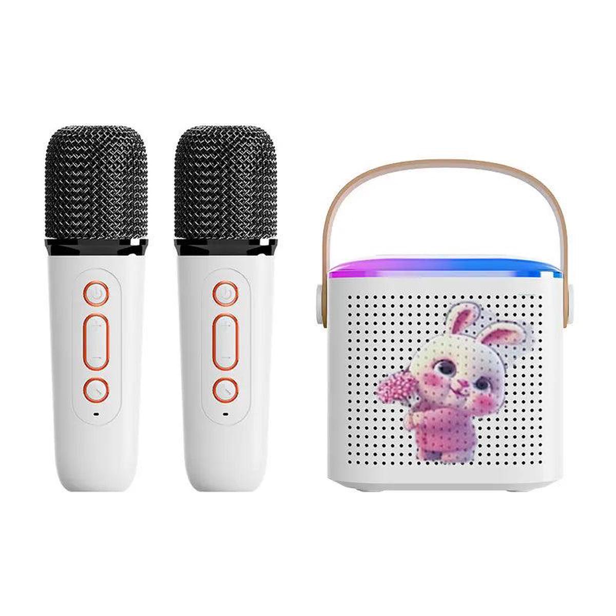 Smartbarry Karaoke Wireless Speaker 2 mic - MC01